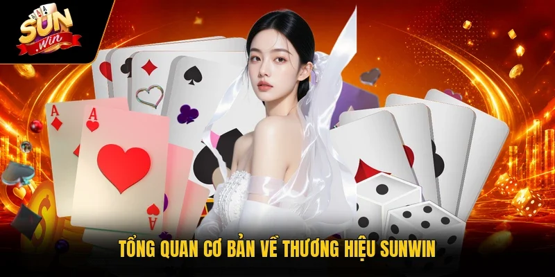 Tổng quan cơ bản về thương hiệu Sunwin